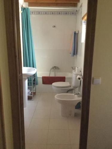 a bathroom with a toilet and a sink at Casa Rural Bermeja in Soto de Valdeón