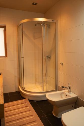 a bathroom with a shower and a toilet and a sink at Viesu nams ''Laukezers'' in Vilciņi