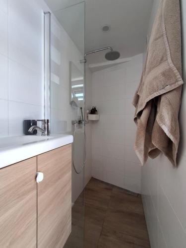 a bathroom with a shower and a sink and a shower at T-Rots, prachtig zomerhuis in Noordwijk aan Zee