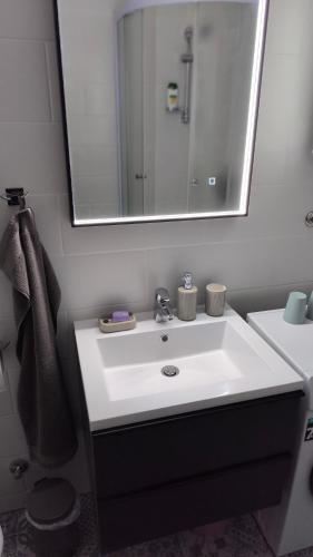 a bathroom with a white sink and a mirror at Vintage in Đakovo