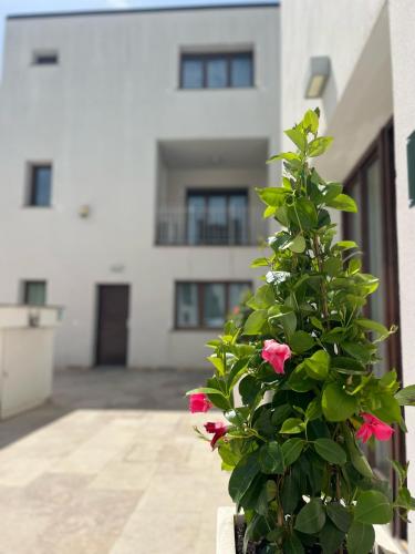a plant with pink flowers in front of a building at The Florence Hills Resort & Wellness in Pelago