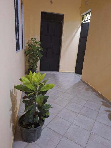 a hallway with a tile floor with two doors and a plant at Mount Zion Guest House, Mtwapa Mtomondoni in Mombasa