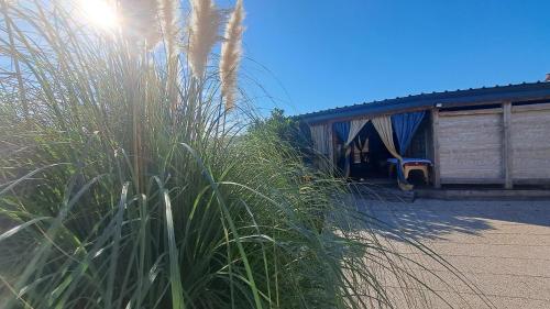 a building with tall grass in front of it at Mobile Home Cabana with HotTub&Sauna in Spodnja Polskava