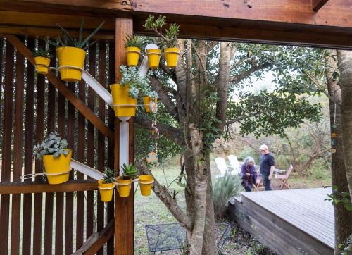 Taman di luar Wild and off-the-grid with style