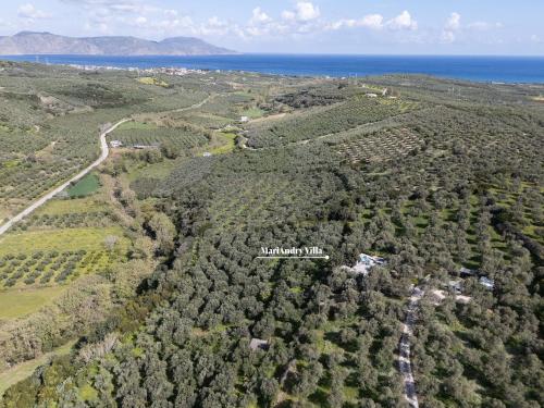 an aerial view of a forest of trees next to the ocean at MariAndry Villa, Secluded Retreat with Pool, BBQ & HotTub, By ThinkVilla in Episkopí- Rethimno