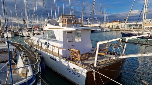 a boat docked in a marina with other boats at Salvador BAHIA Boat and Breakfast in Lido di Ostia