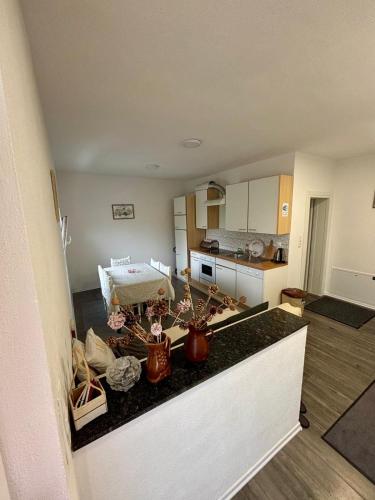 a kitchen with a counter top in a room at Apartman UnaTesnim in Ripač