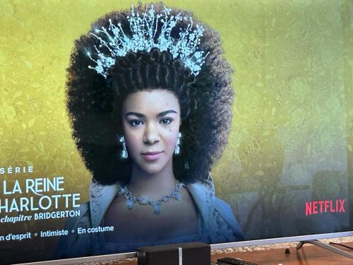 a billboard with a picture of a woman wearing a tiara at La Cocoteraie in Le Morne