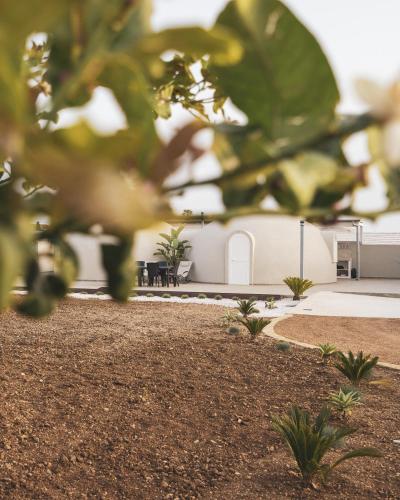 a view of a building from behind a tree at Nausicaa Guesthouse in Marsala