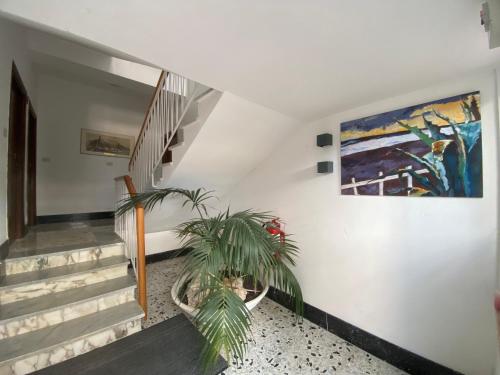 a hallway with stairs and a painting and a plant at Dove il tramonto incontra il mare, attico panoramico a due passi dalla spiaggia in Minturno