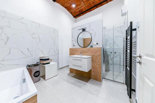 a bathroom with a sink and a shower and a mirror at L&C-Elbresidenzen & Suites am Elberadweg in Magdeburg