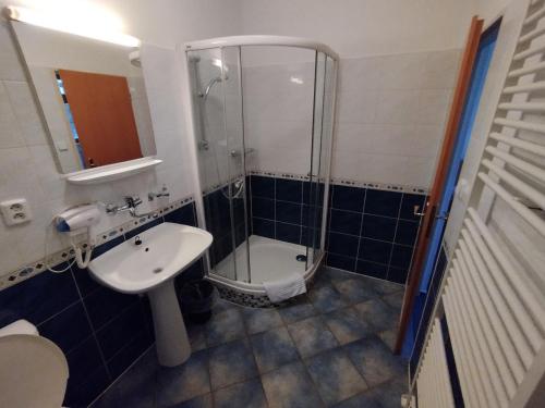 a bathroom with a shower and a sink and a toilet at Vinařský dvůr Valtice in Valtice