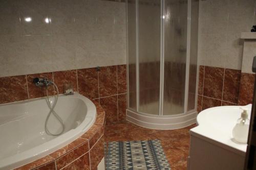 a bathroom with a shower and a tub and a sink at Sporthotel Patriot in Litoměřice