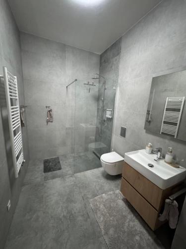 a bathroom with a shower and a sink and a toilet at Apartmán Brezovina Lux in Veselé