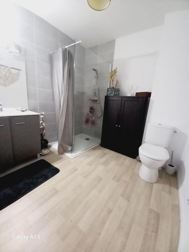 a bathroom with a toilet and a shower at Appartement T2 Capbreton - Jardinet - Terrasse - Parking couvert in Capbreton