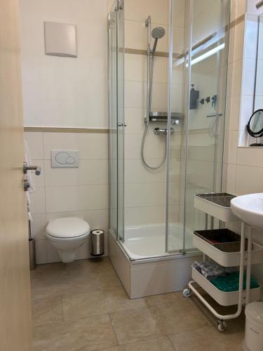 a bathroom with a shower and a toilet and a sink at Boardinghouse Gruber in Kranzberg