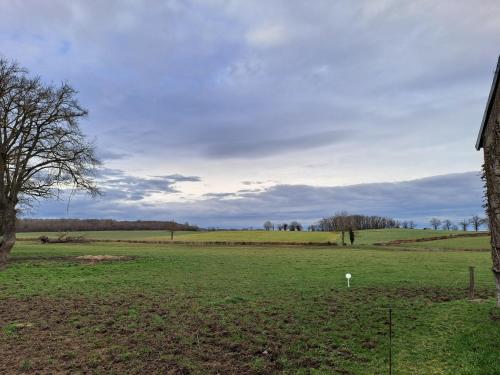 a field with a tree in the middle of it at Maison avec vue sur la campagne in Viersat
