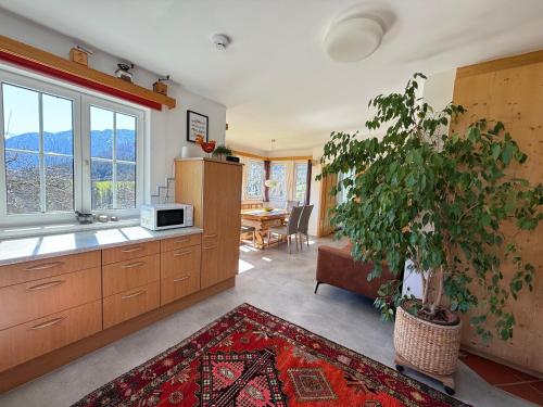 Cuisine ou kitchenette dans l'établissement Lovely house with mountain view & big garden in Bad Aussee