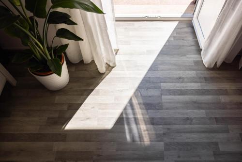 a hallway with a potted plant and a window at SUN HOUSE in Bari
