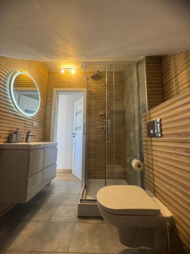 a bathroom with a shower and a toilet and a sink at Apartamenty Niesiołowice na Kaszubach in Niesiołowice