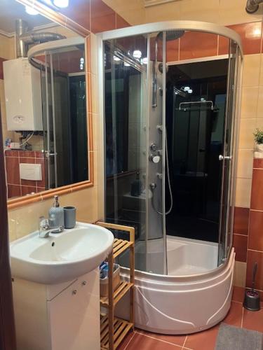 Ένα μπάνιο στο Apartament Salamandra Uno