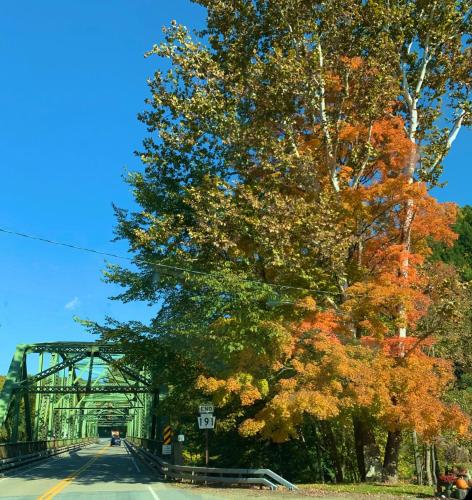 a road with a bridge and a tree with autumn leaves at Green Acres Retreat in Hancock