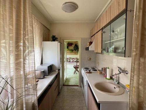 Kuchyň nebo kuchyňský kout v ubytování R&R Apartmant Konjarnik