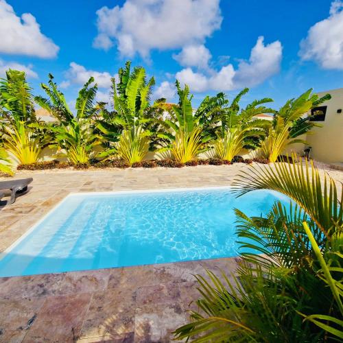 Villa Cabana Mambo Beach
