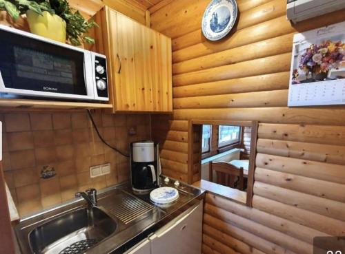 a kitchen with a sink and a microwave at Ferienhaus Petra in Elbingerode