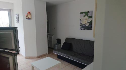 un salon avec un canapé et une télévision dans l'établissement App le palais d'été, à Argelès-sur-Mer