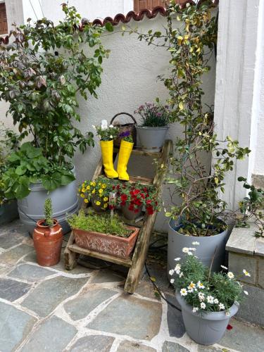 a garden with yellow rain boots and potted plants at Guesthouse Doma est 1991 in Arachova