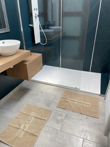 a bathroom with a shower and two mats on the floor at La Magnanerie de l'Estrade, gîte 8 pers avec piscine in Rosières
