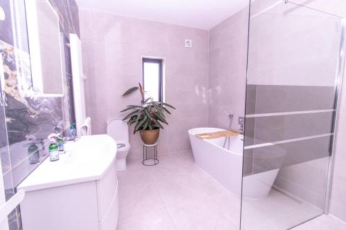 a bathroom with a toilet and a sink and a shower at Eden House and Pet Farm in Feevaghmore