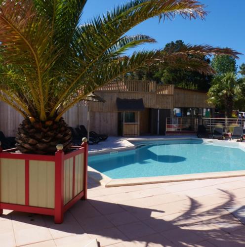 Camping La Prévoté في سانت هيلير دي ريز: مسبح كبير بجانبه شجرة نخيل