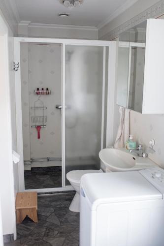 a bathroom with a shower and a toilet and a sink at Swedish cottage in the Woods on Sollerön island in Sollerön