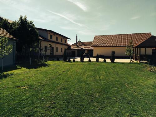 a yard with some buildings and a grass field at Pensiunea Marmis in Rîu Bărbat
