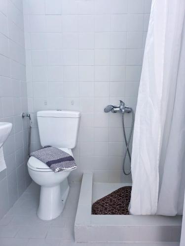 a bathroom with a toilet and a shower curtain at Calypso Heaven in Santorini