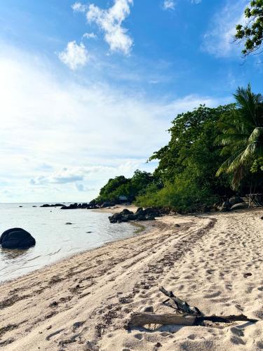 a beach with a tree branch on the sand at Ocean View Mini-Villa in Wok Tum