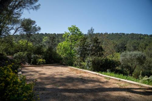 a dirt road in the middle of a forest at Villa d'Artiste en pleine pinède à 10 min d'Aix in Meyreuil