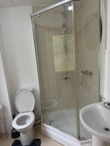 a bathroom with a shower and a toilet and a sink at Apartment close to London Stansted airport in Great Parndon