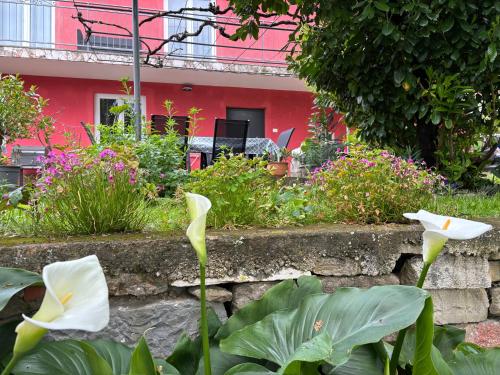 a garden with white flowers in front of a red building at Portorož Apartments Franca in Portorož