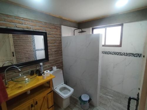 a bathroom with a toilet and a sink and a shower at Hosteria y Cabañas Malloa - Naturaleza y Desconexión in Caracoles