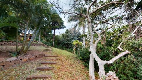 サウスブルームにあるSan Lameer Lagoon Blissの階段と木とヤシの木のある庭園
