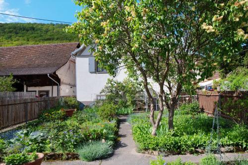 a garden with a tree and a house at Ferienhaus Hildahüsli in Badenweiler