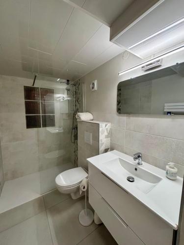 une salle de bain avec un lavabo, des toilettes et un miroir dans l'établissement Casa Duhamel - T2 Paisible avec Stationnement - Proche Centre-ville Brive, à Brive-la-Gaillarde