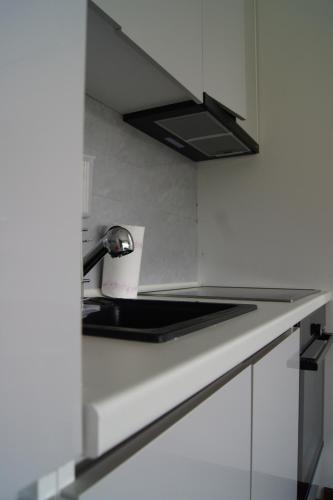 Apartmani SEEBLICKにあるキッチンまたは簡易キッチン