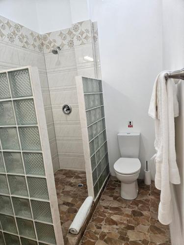 a bathroom with a shower and a toilet at Agape Suites-Room 4- 1st Floor in Soufrière