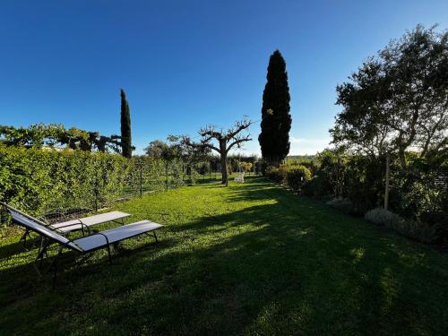 a bench sitting in the grass in a field at Podere 239 - Appartamento La Stalla in Marsiliana