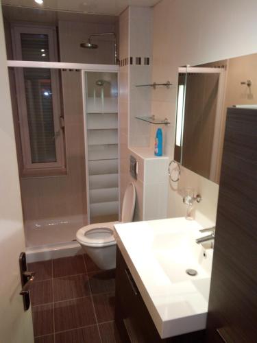 une salle de bain avec toilettes, douche et lavabo dans l'établissement MEUBLE Centre Epinal SCI FLYM, à Épinal