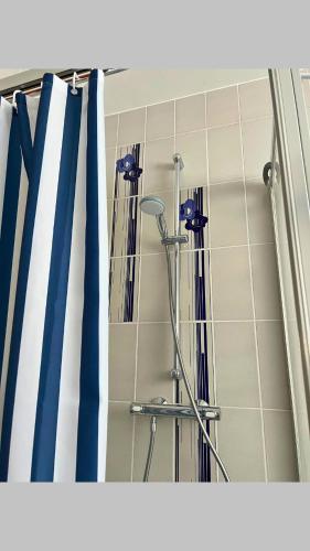 a shower with two blue and white shower curtains at Ferienwohnung am Meulenwald in Föhren